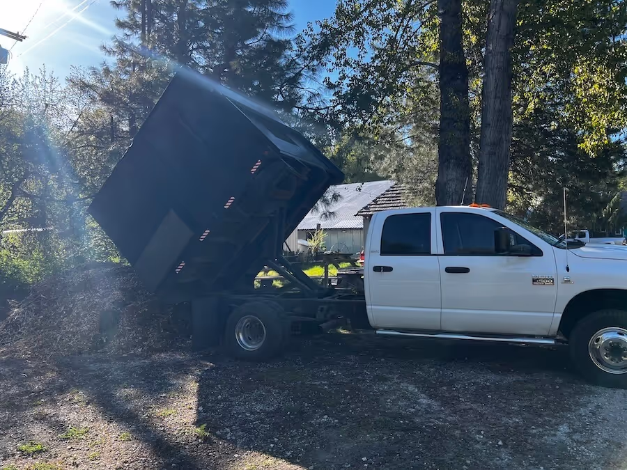 Tree climbing crew in Leavenworth WA