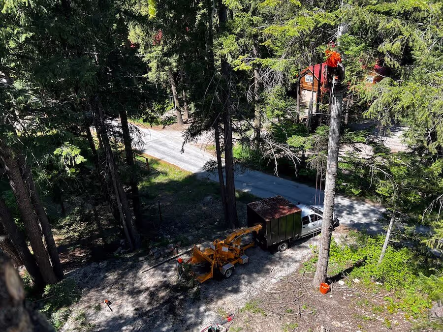 Arborist services Leavenworth WA