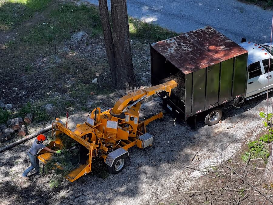 Tree pruning professionals Leavenworth WA