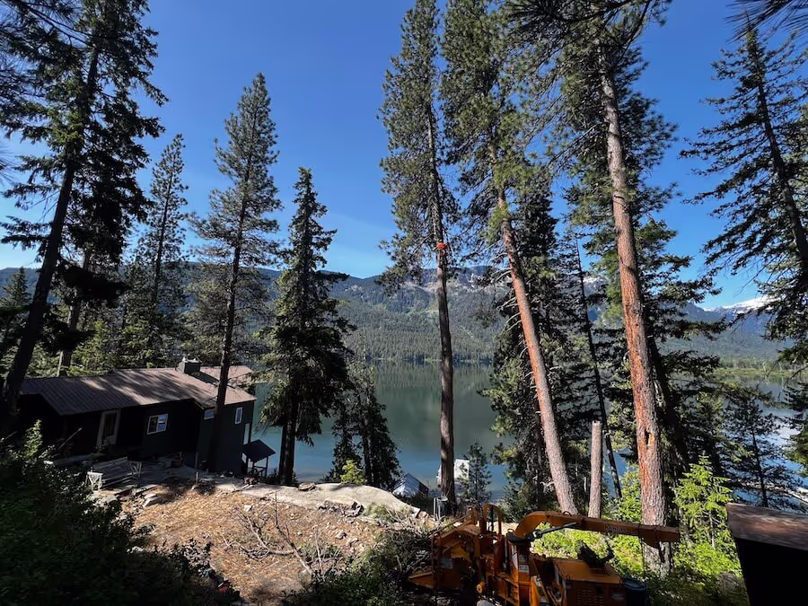 Tree service team working in Leavenworth WA