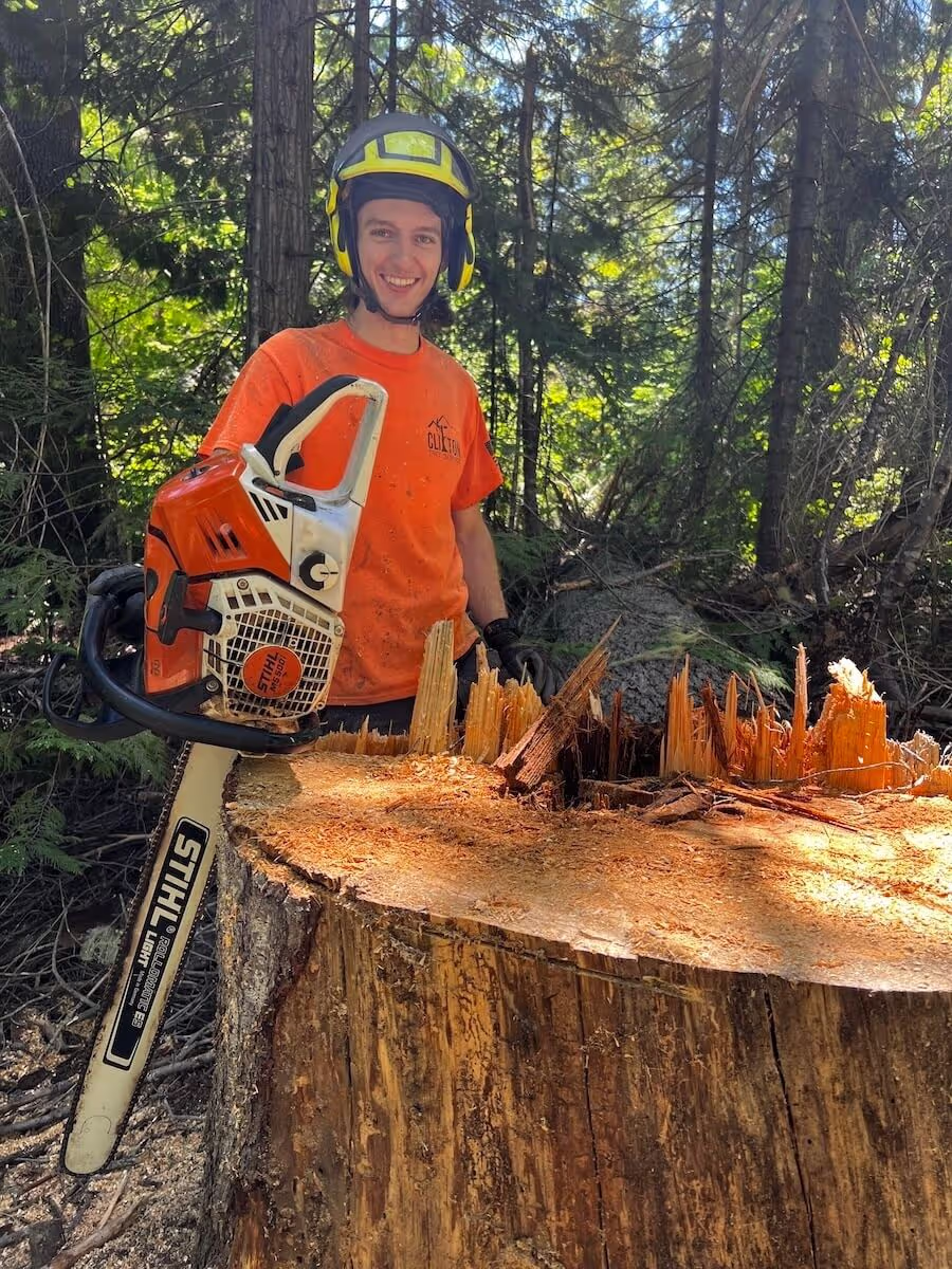 Tree pruning project in Leavenworth WA