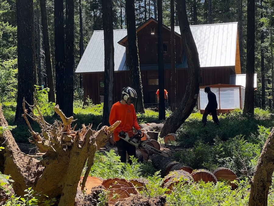 Tree service chipping crew Leavenworth WA