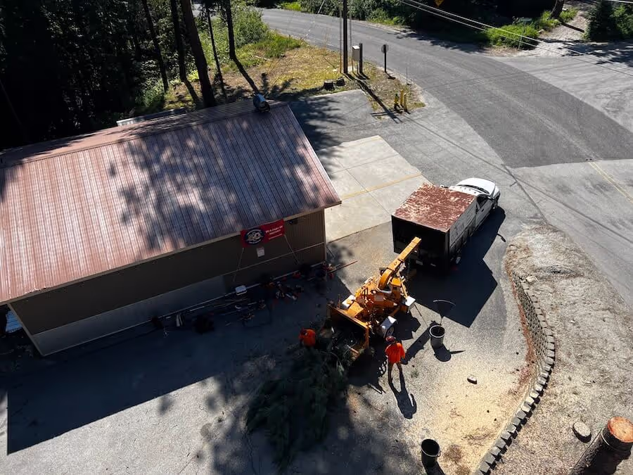 Tree care and removal Leavenworth WA