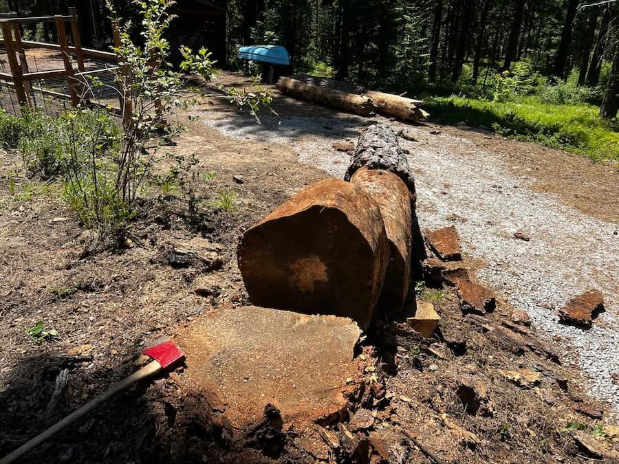 Tree service project Leavenworth WA