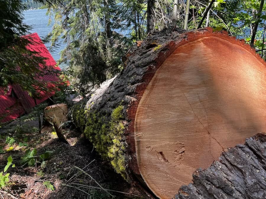 Tree trimming and removal Leavenworth WA