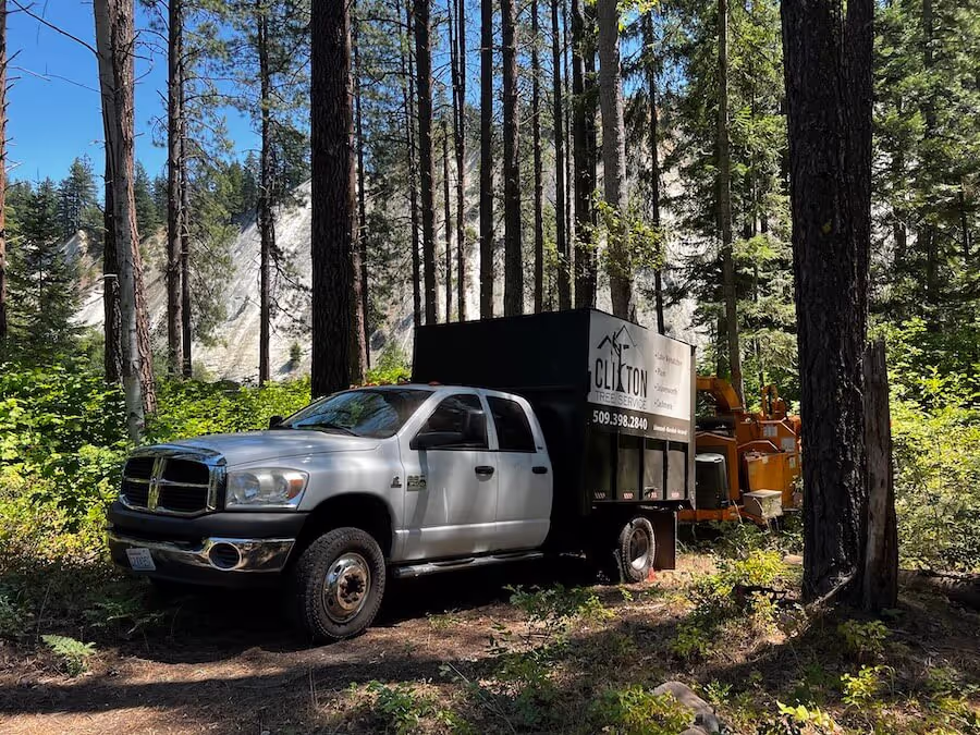 Tree removal service team Leavenworth WA