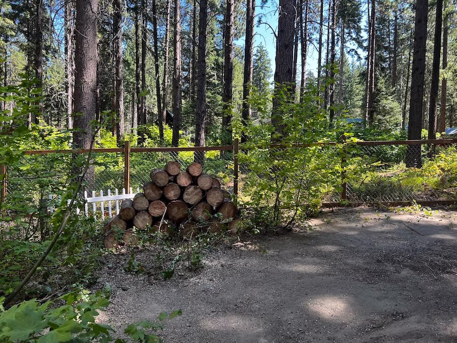 Tree service worksite Leavenworth WA