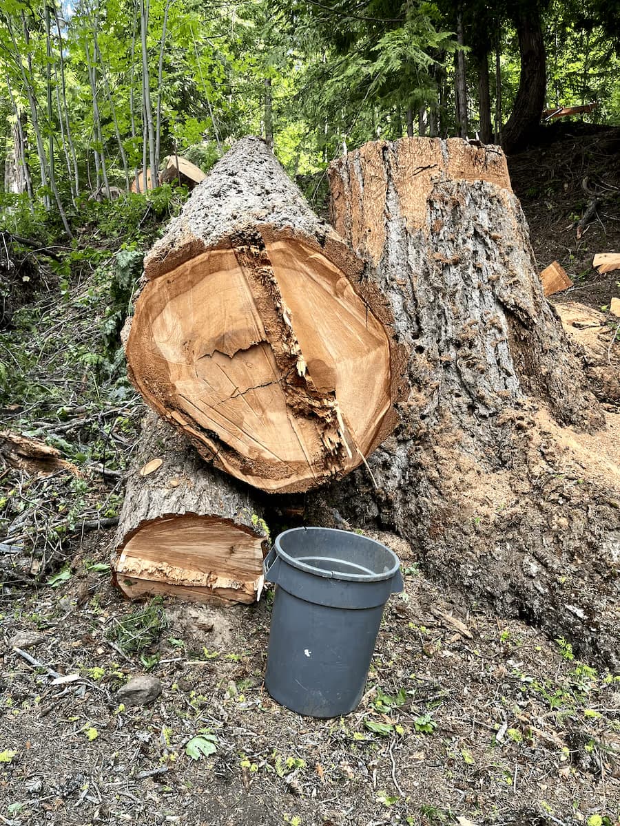 Tree removal with crane near Leavenworth WA
