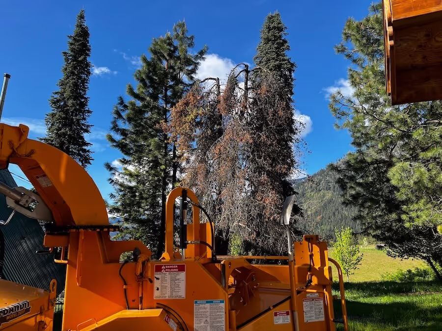 Certified arborist tree service Leavenworth WA