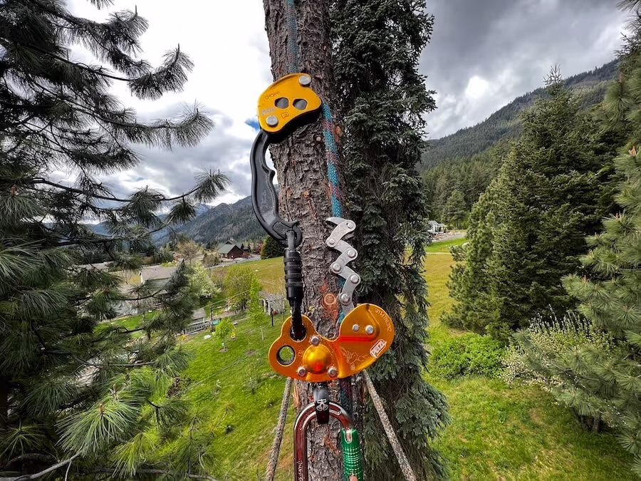 Tree pruning and trimming near Leavenworth WA