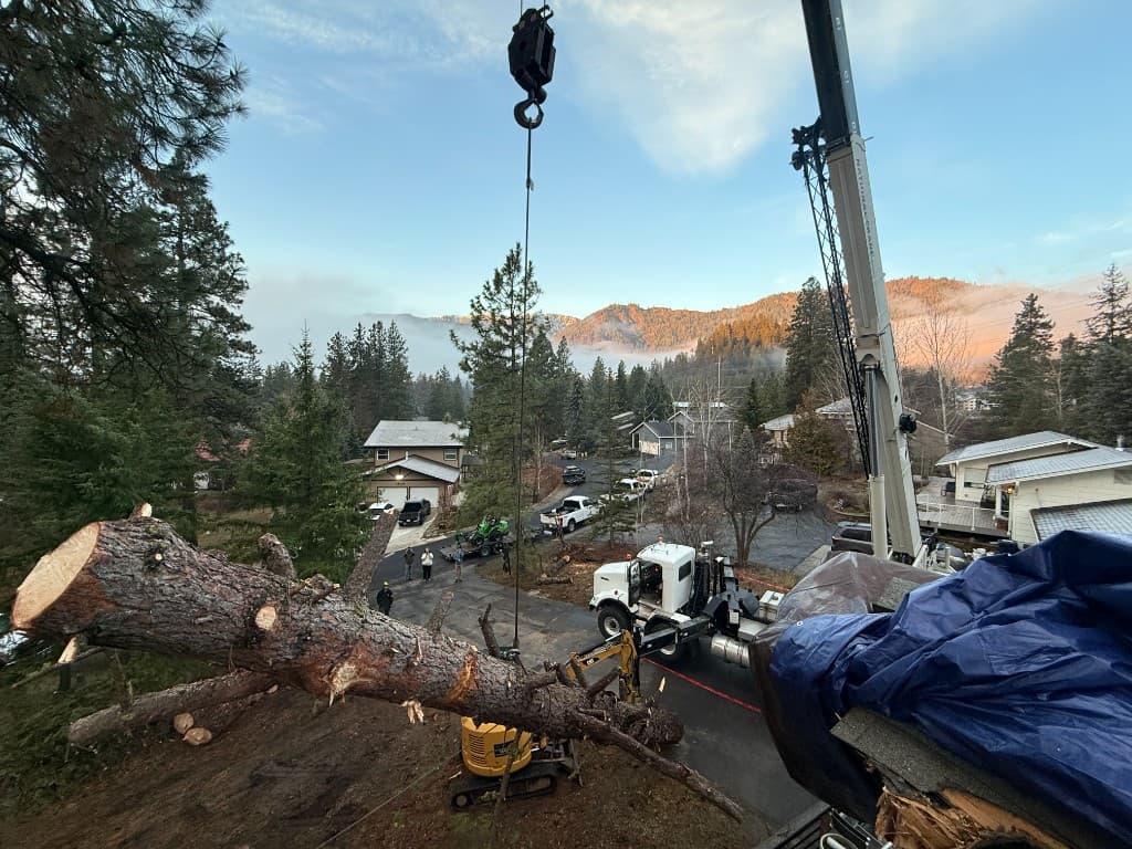 Emergency Tree Service - Clifton Tree Service Leavenworth WA