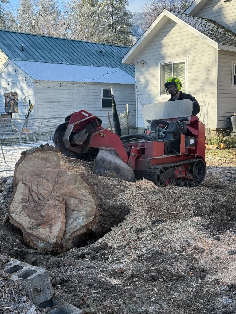 Stump Grinding - Clifton Tree Service Leavenworth WA