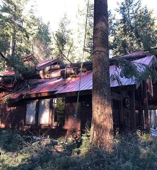 Hazard tree assessment by ISA Certified Arborist in Leavenworth WA